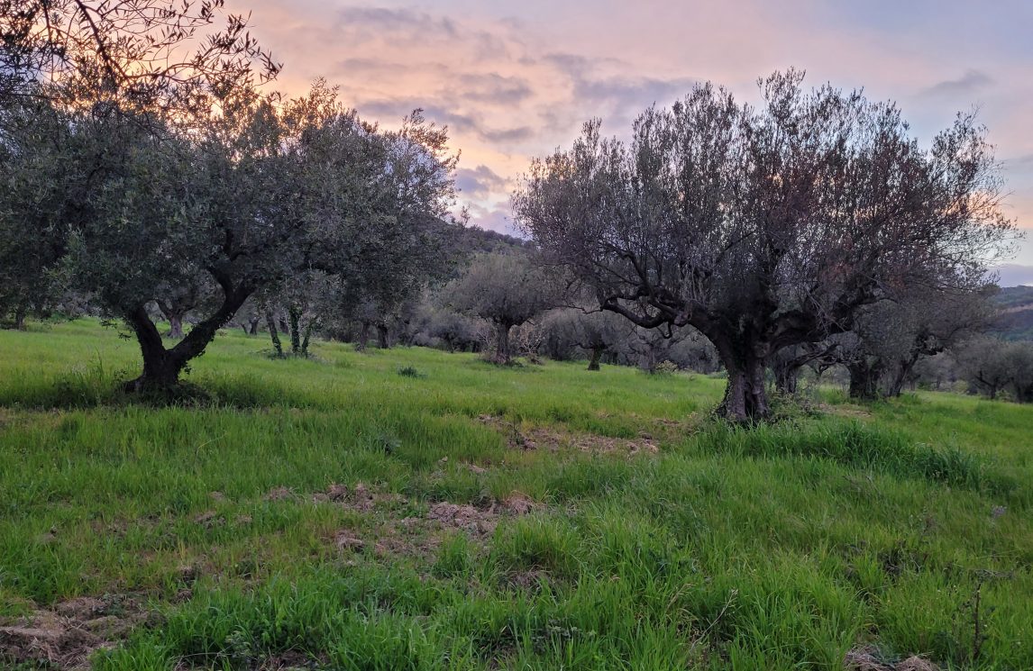 Milano: “Non siamo spettatori impotenti, ma protagonisti”