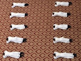 Undici nuovi sacerdoti per la diocesi di Roma