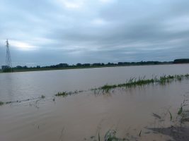 Alluvione in Veneto. Zaia: “Fenomeno eccezionale”. Dichiarato lo stato di emergenza