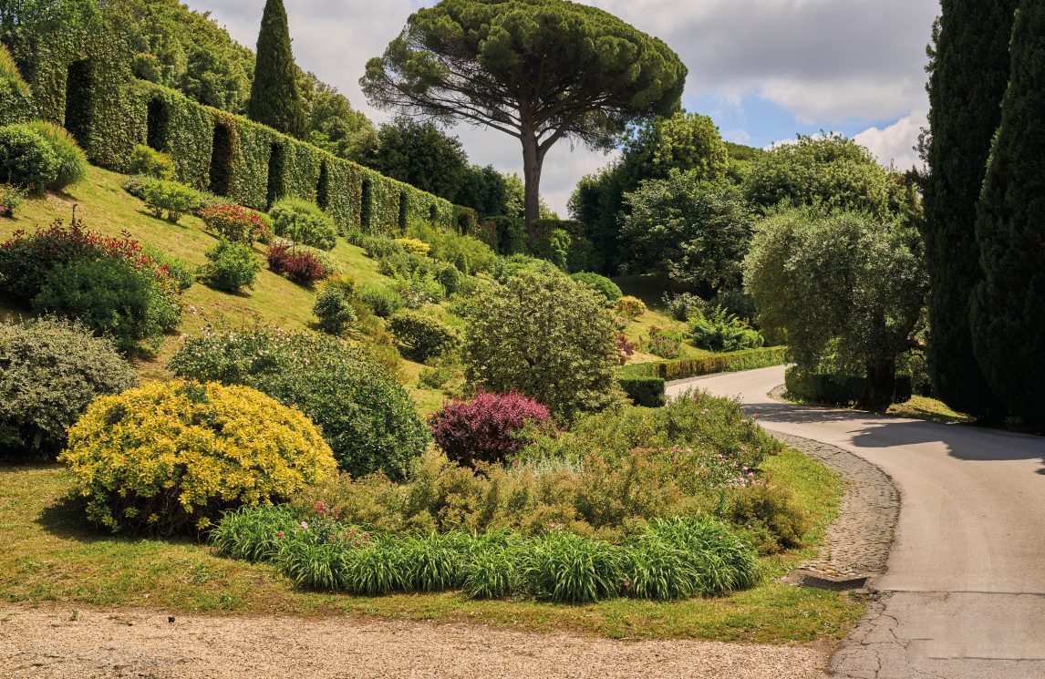 Leone XIV: il 17 agosto pranzo con i poveri al Borgo Laudato si’