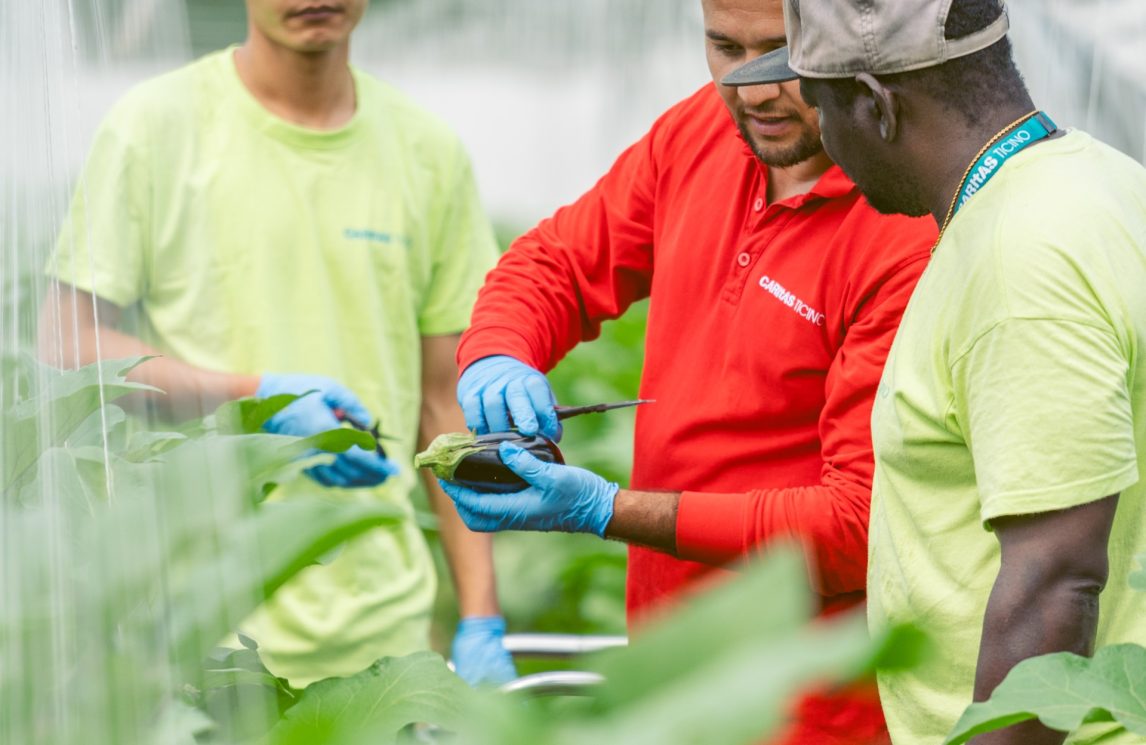 Il Centro di ecologia integrale Laudato Si’ compie un anno