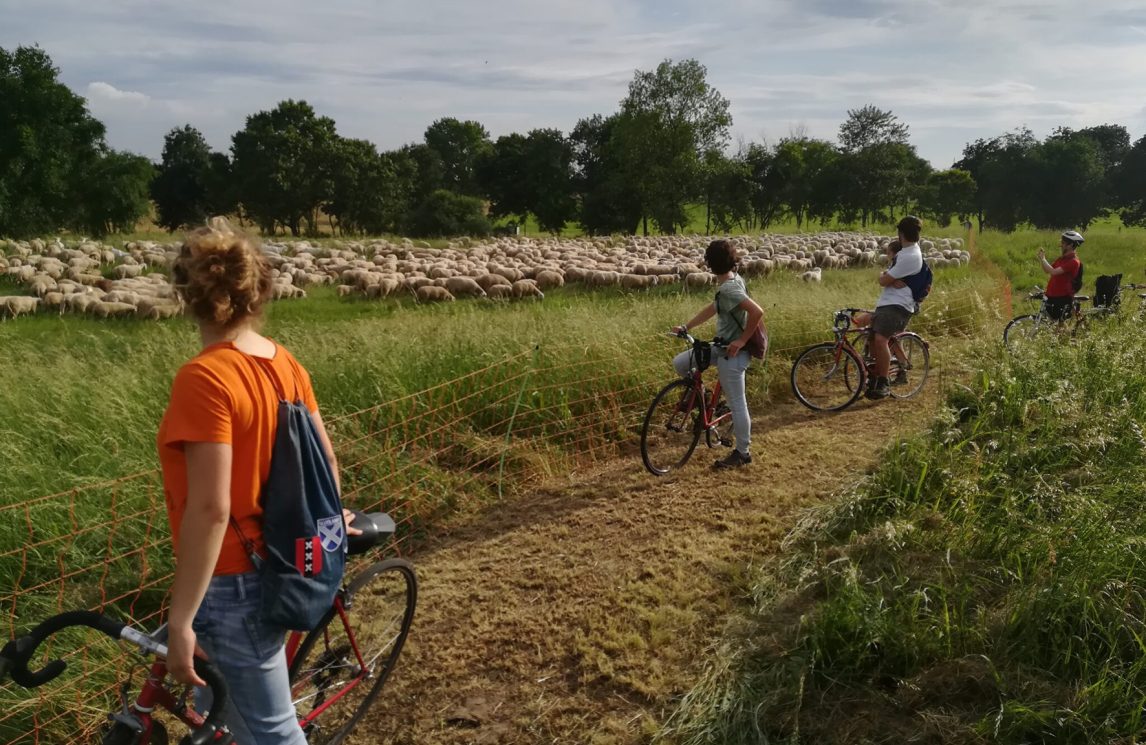 Da “boschetto della droga” a parco vissuto