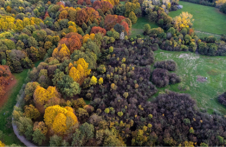 Patrimonio culturale: radici e frutti d’inclusione