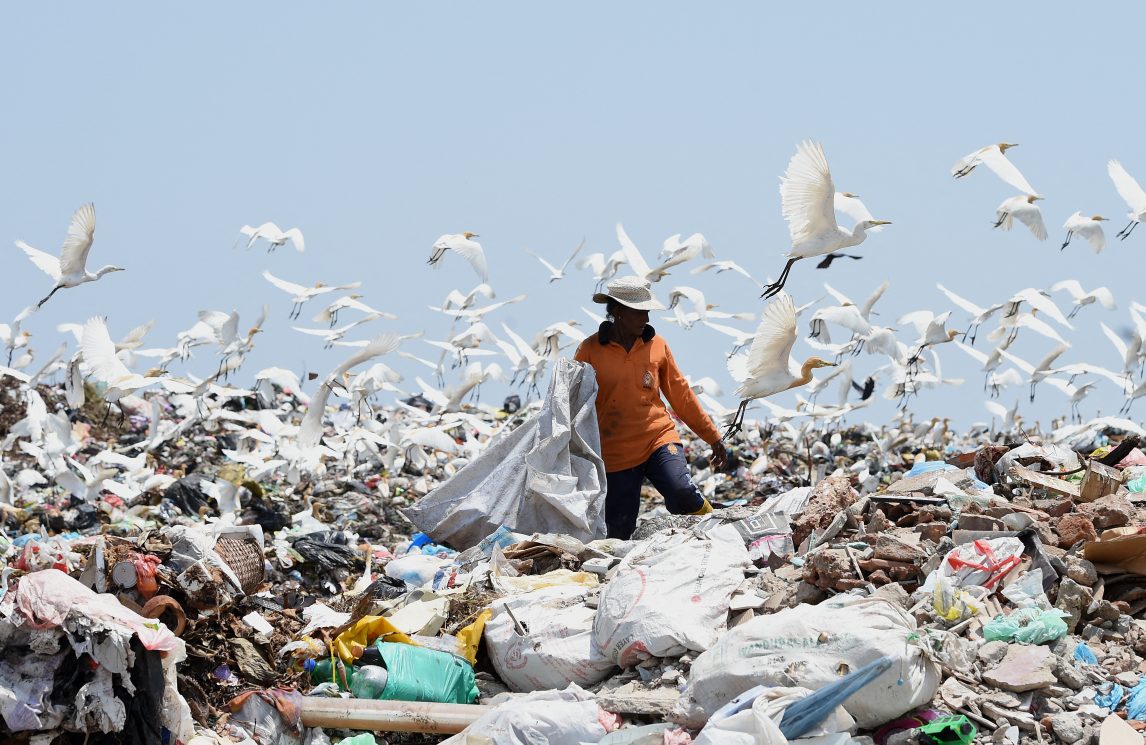 La Commissione teologica rilegge la crisi ecologica